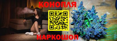 шишки Изобильный