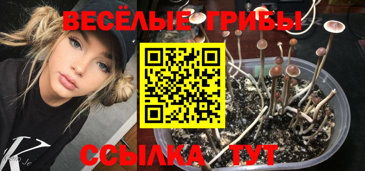 Канабис Лениногорск
