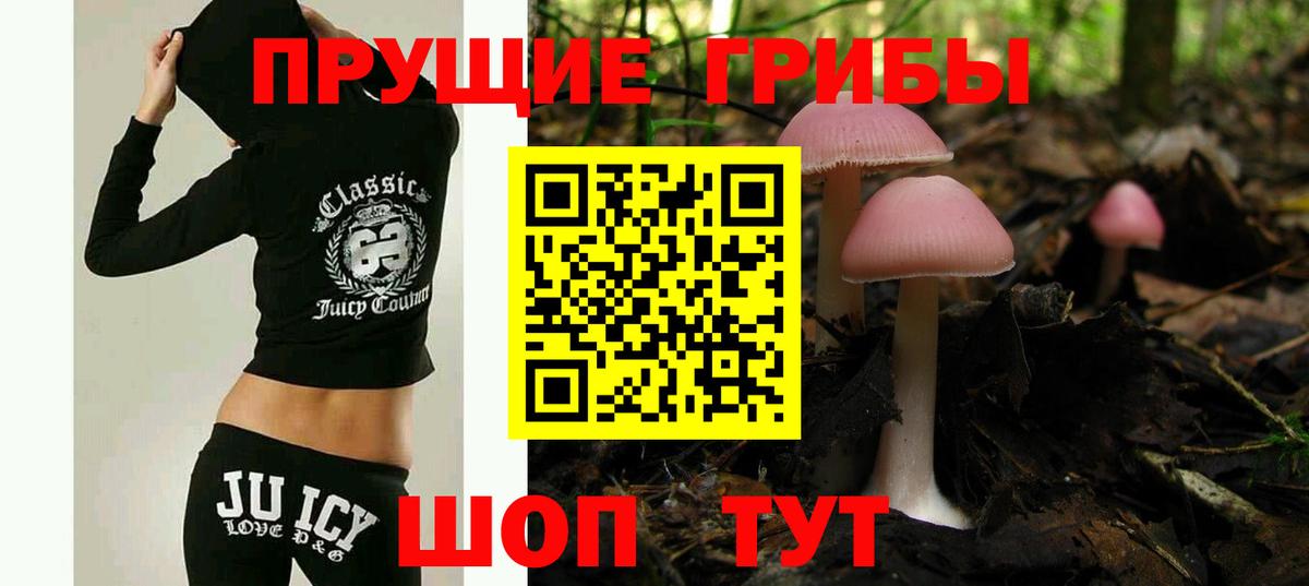 Лениногорск  Псилоцибиновые грибы ЛСД  дарнет шоп  Вход с VPN 